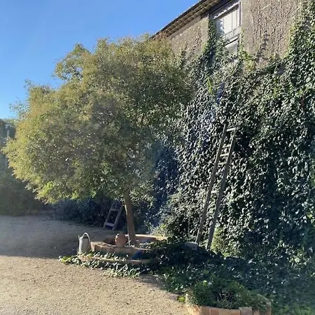 Au Coeur Des Vignes * Béziers