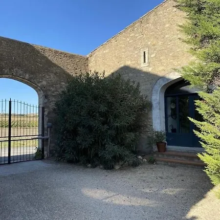Au Coeur Des Vignes