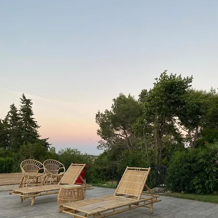 Au Coeur Des Vignes *