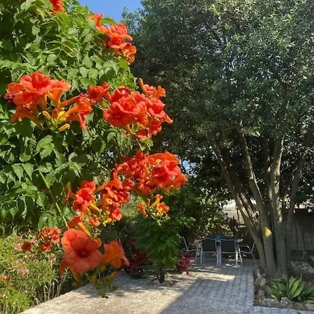 Au Coeur Des Vignes Ferienhaus *