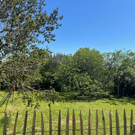 Au Coeur Des Vignes Ferienhaus